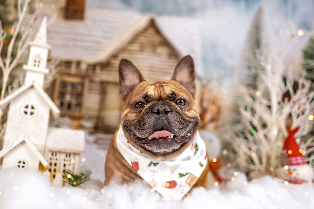 Mistletoe Mixers Snap-On Pet Bandana