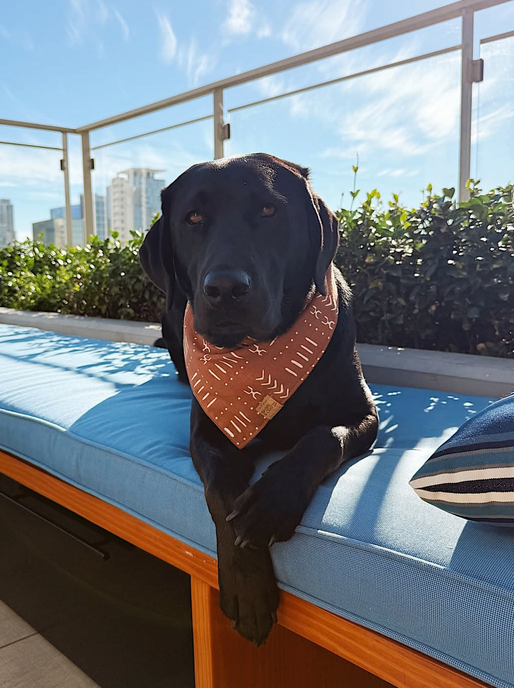 Terracotta Snap-On Pet Bandana