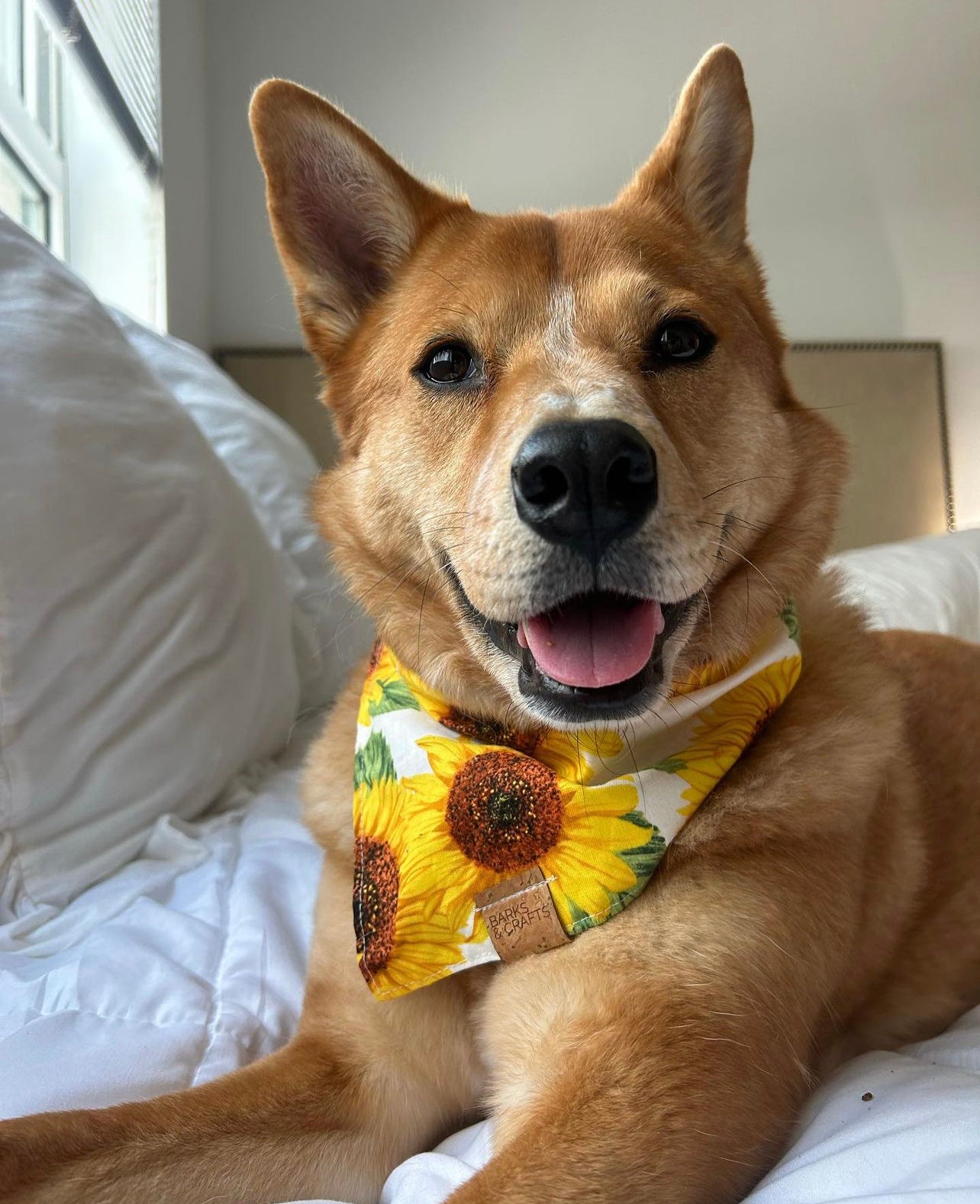 Sunflowers Snap-On Pet Bandana