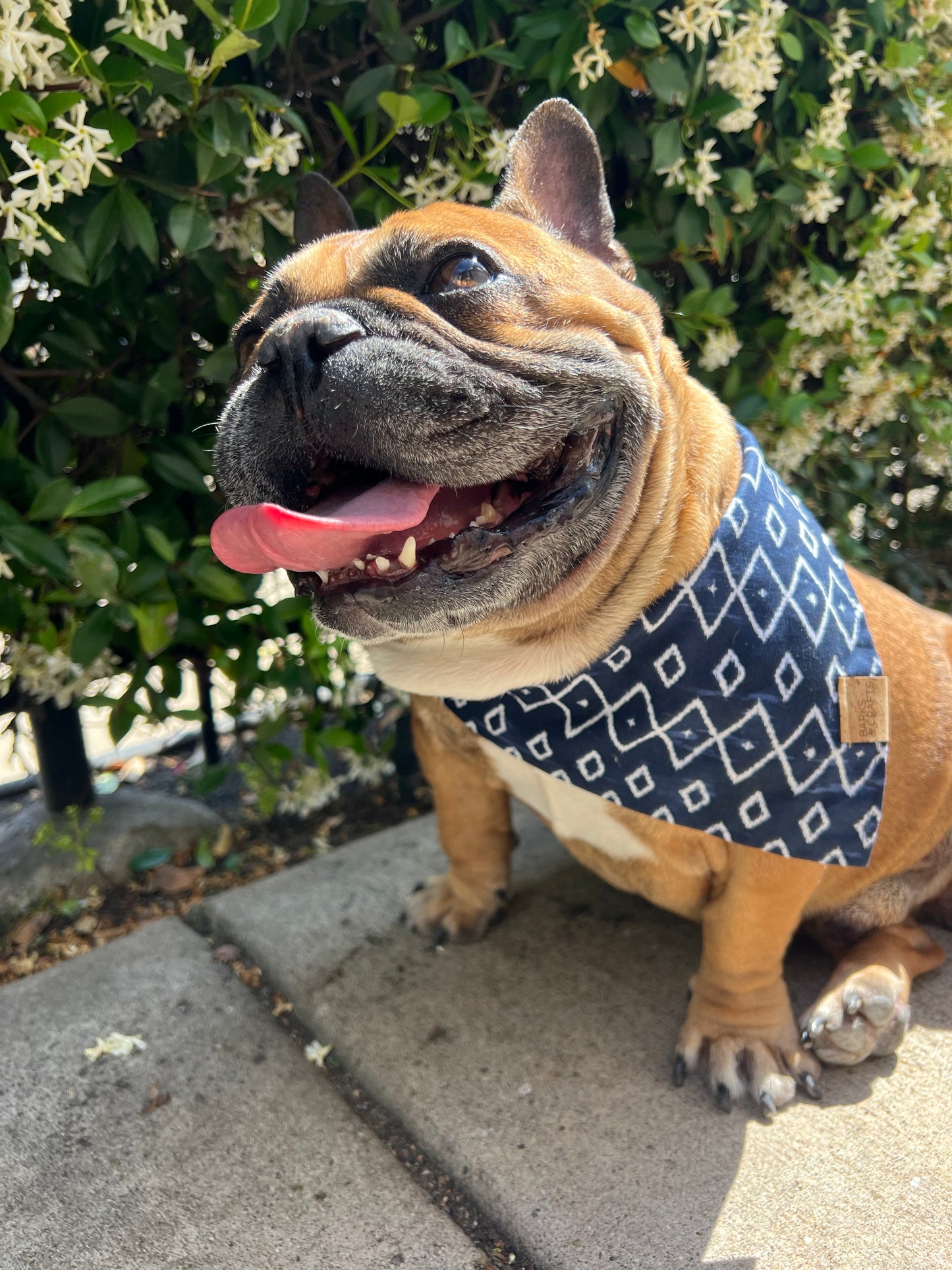 Boho Blue Snap-On Pet Bandana