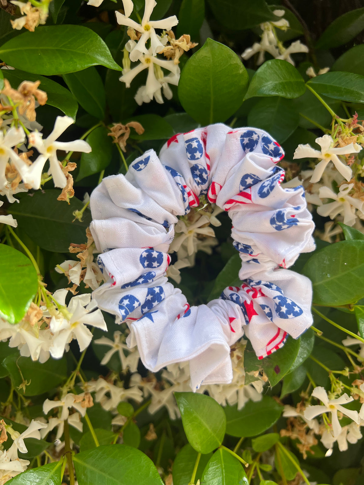 Hair Scrunchie