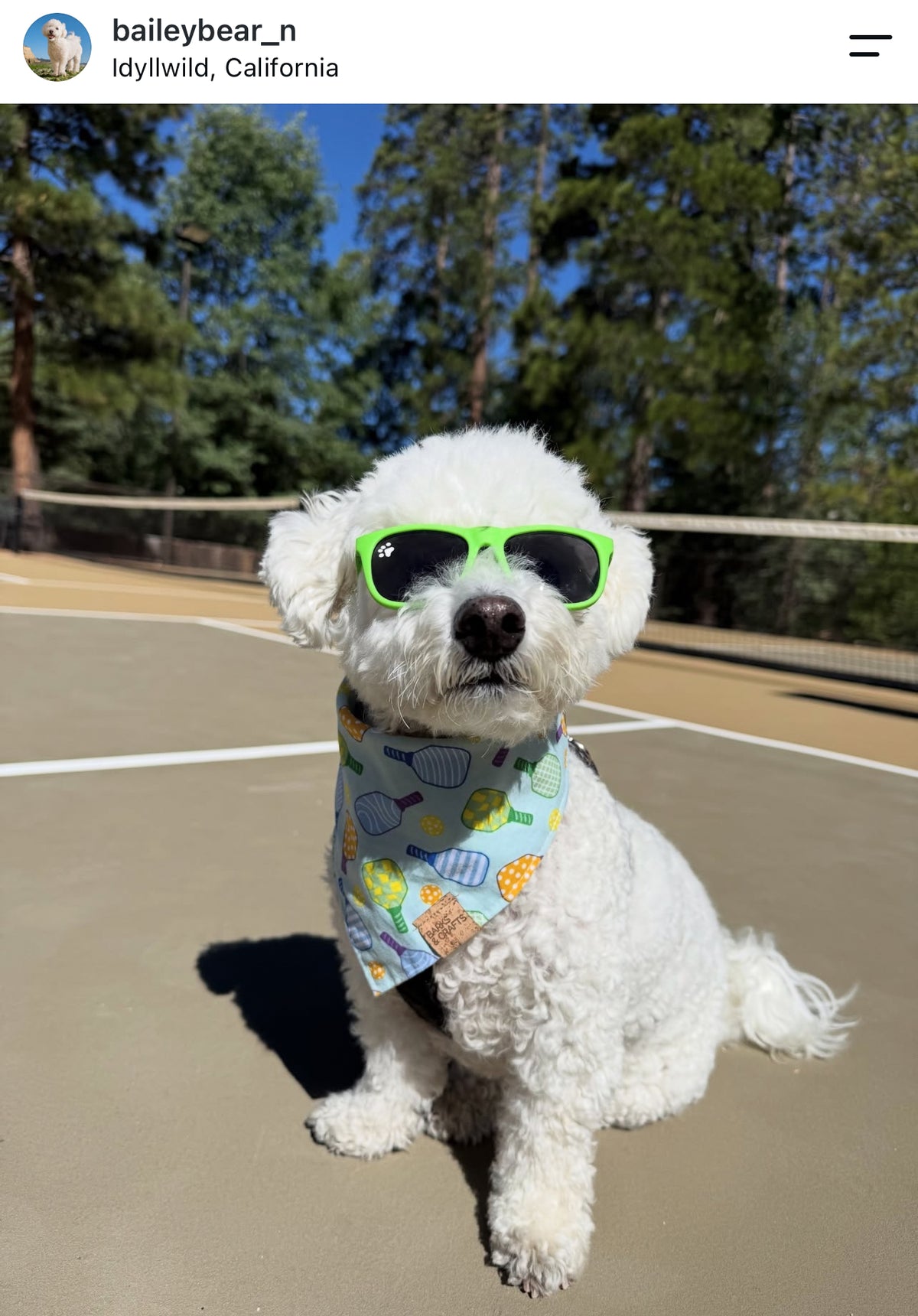 Pickleball Snap-On Pet Bandana