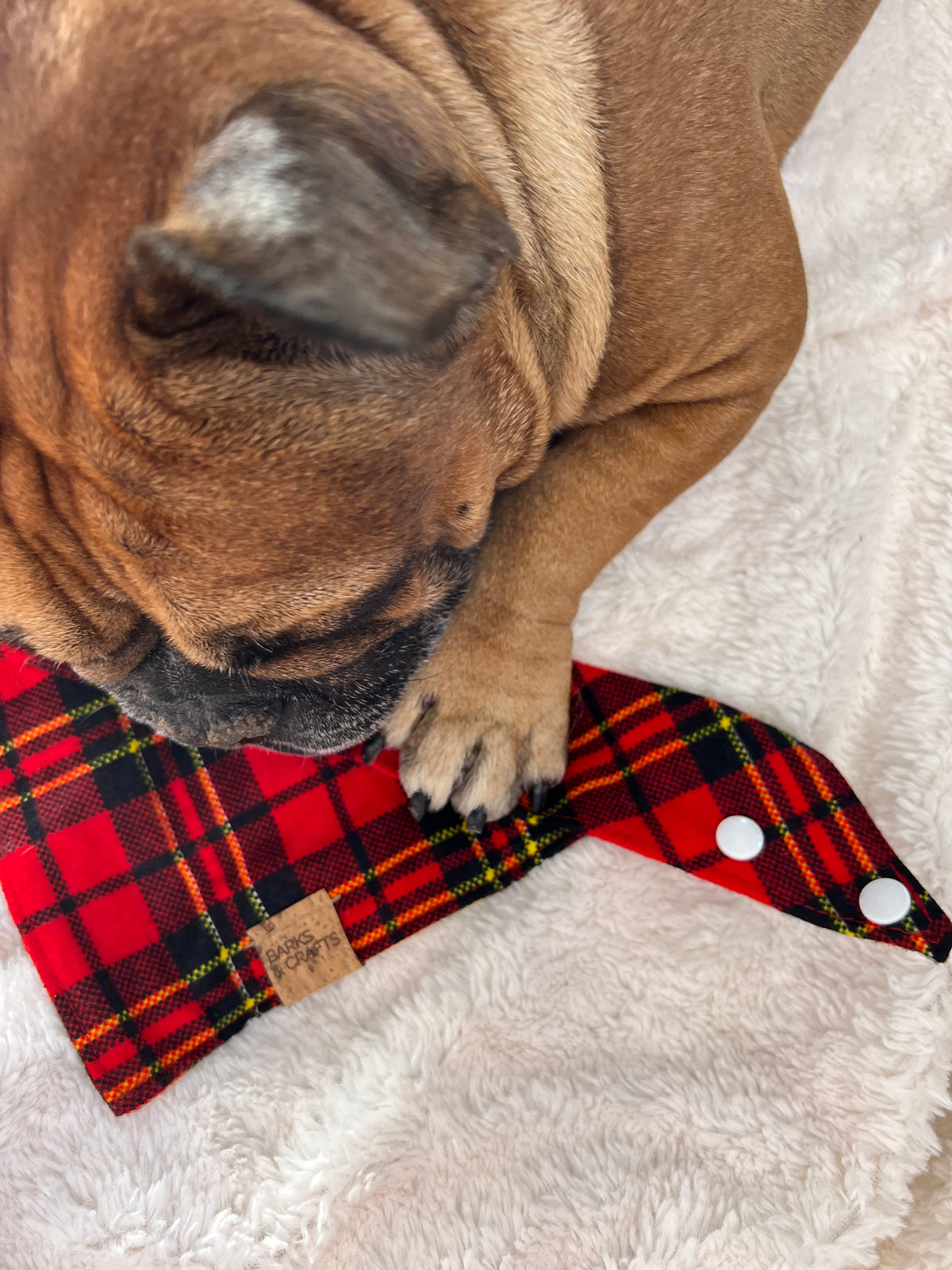 Tartan Plaid Snap-On Pet Bandana