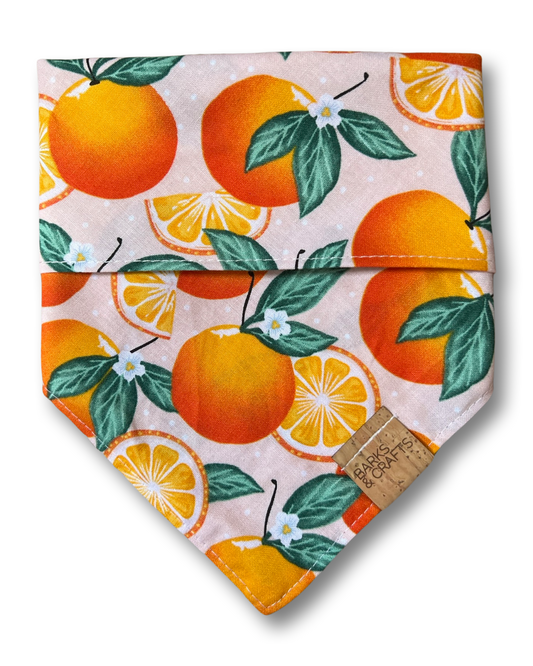 Orange Blossom Snap-On Pet Bandana