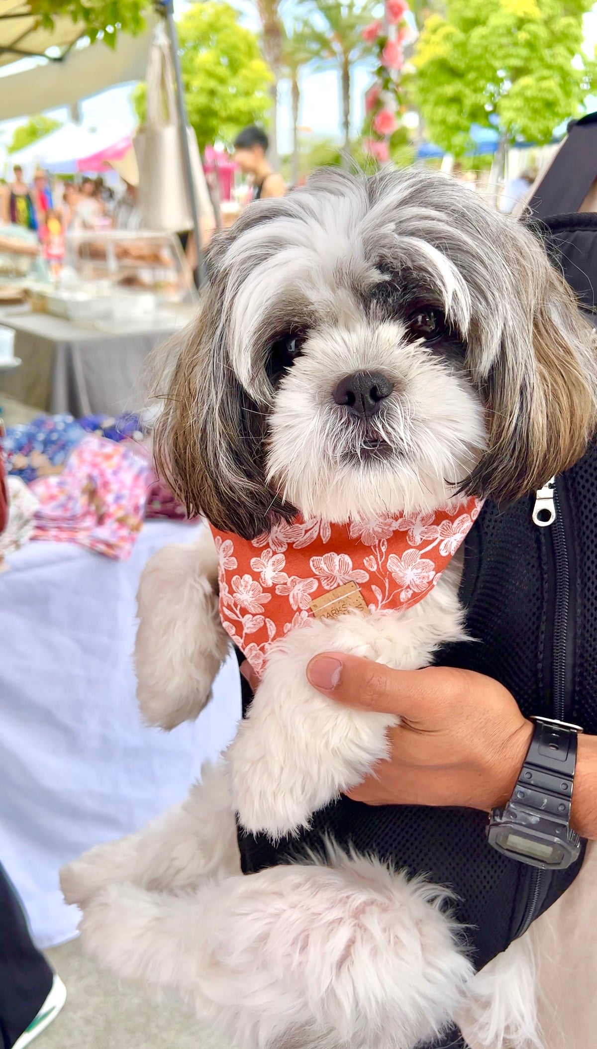 Rust Floral Snap-On Pet Bandana