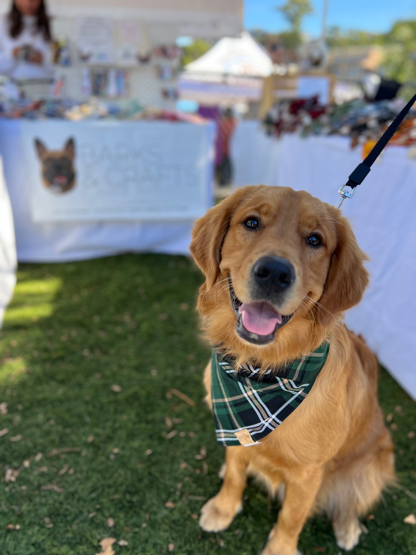 Golden Spruce Plaid Snap-On Pet Bandana