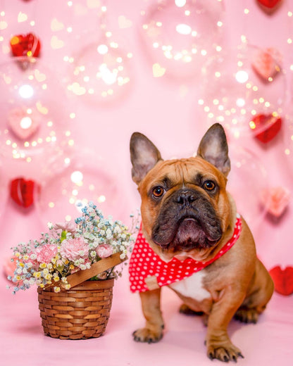 Valentine (Red) Snap-On Pet Bandana