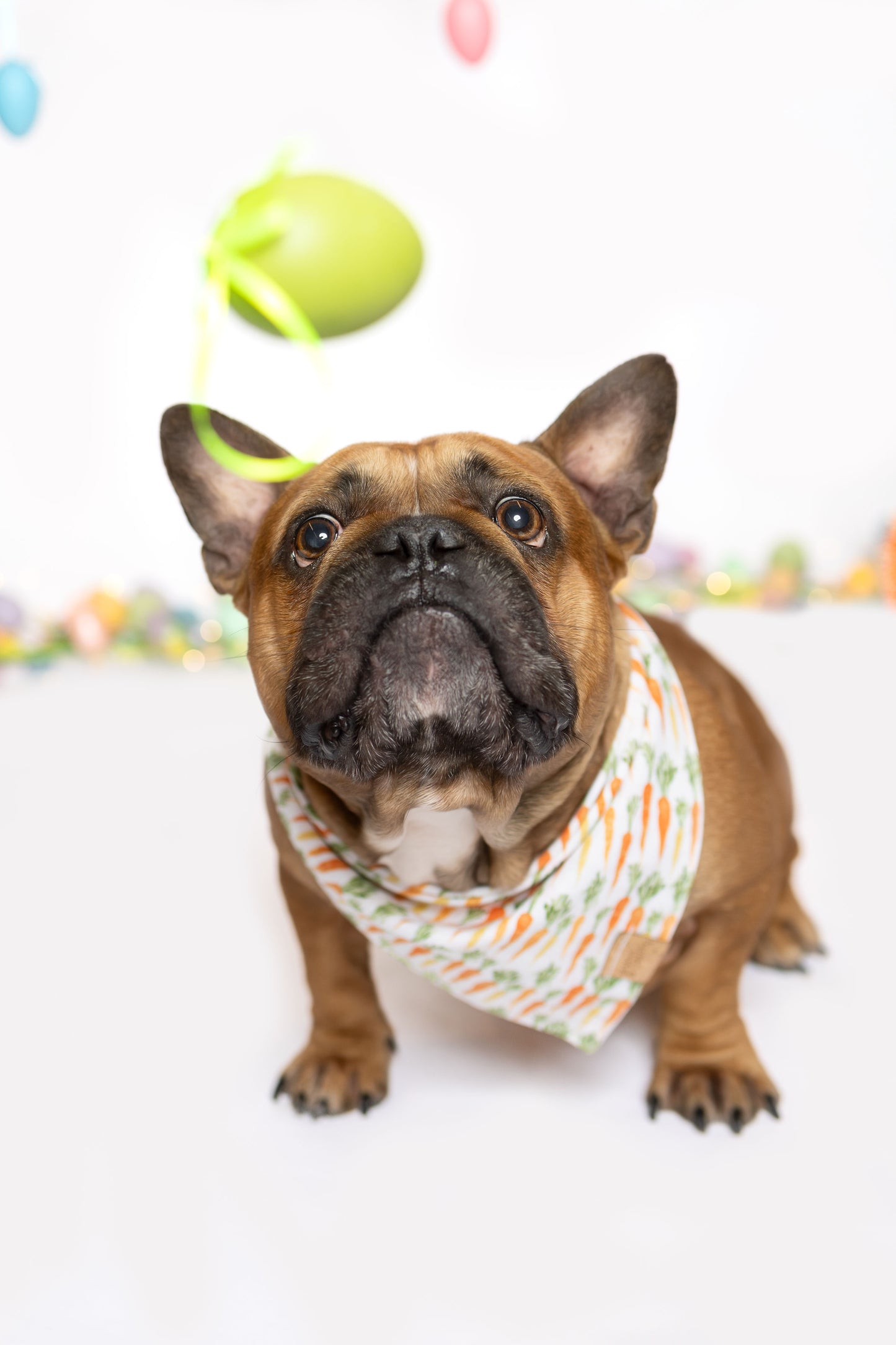 Bunch of Carrots Snap-On Pet Bandana