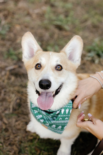 Woodland Winter Wonderland Pet Bandana