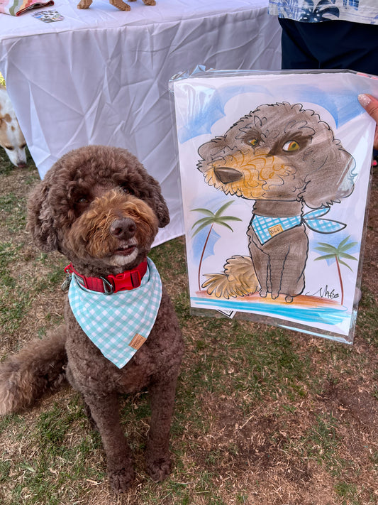 Teal Gingham Snap-On Pet Bandana