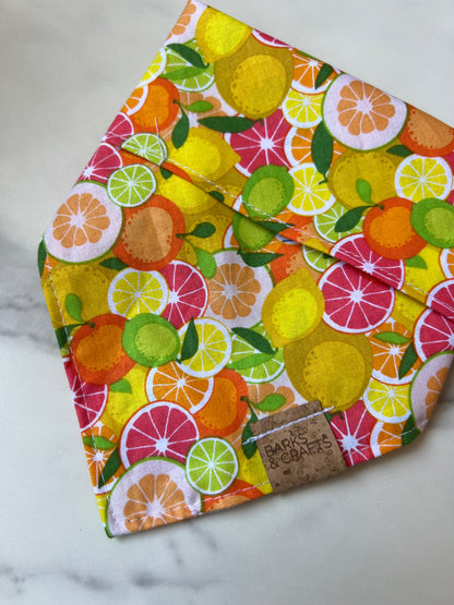 Citrus Snap-On Pet Bandana