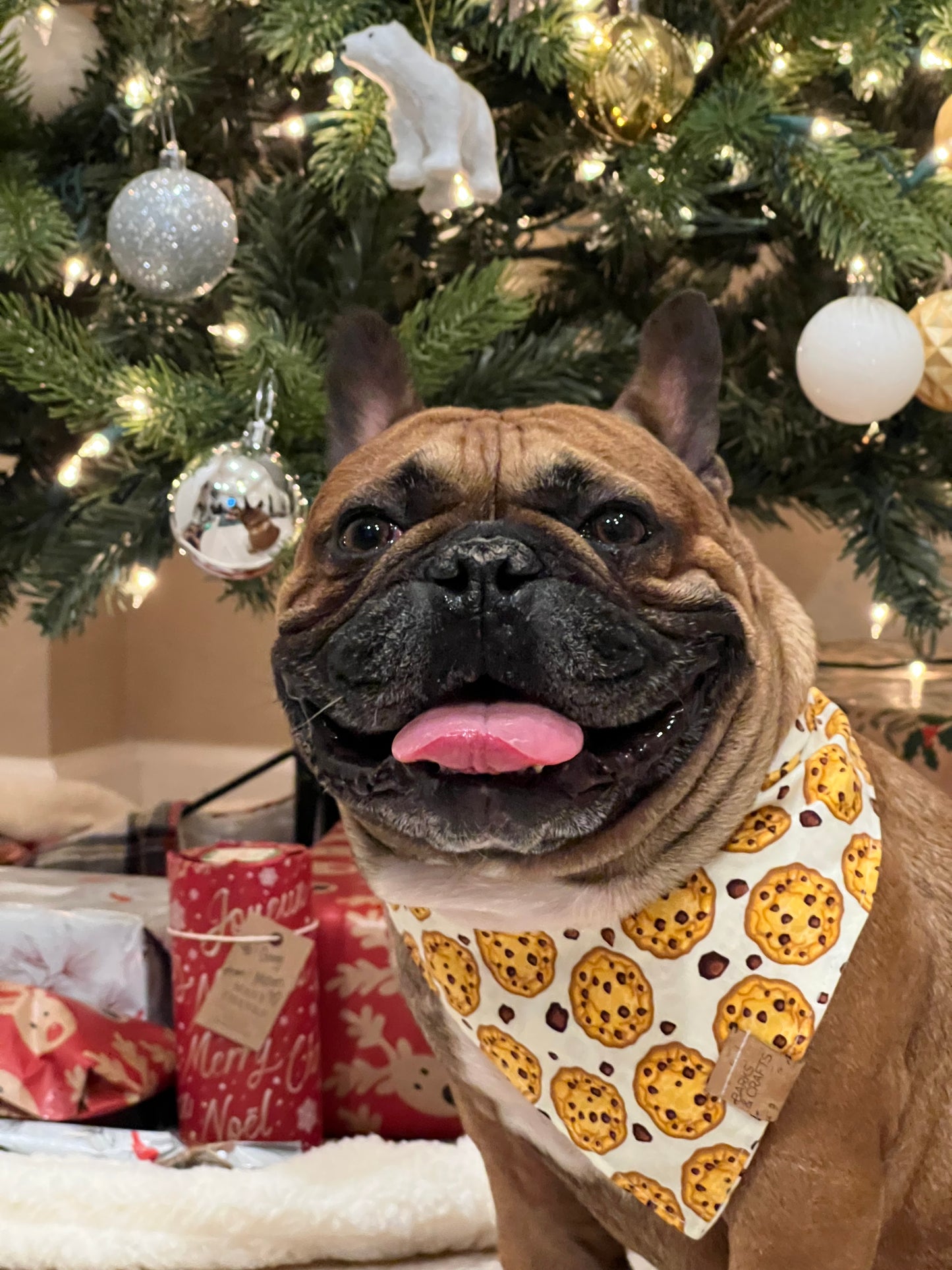 Cookies Snap-on Pet Bandana