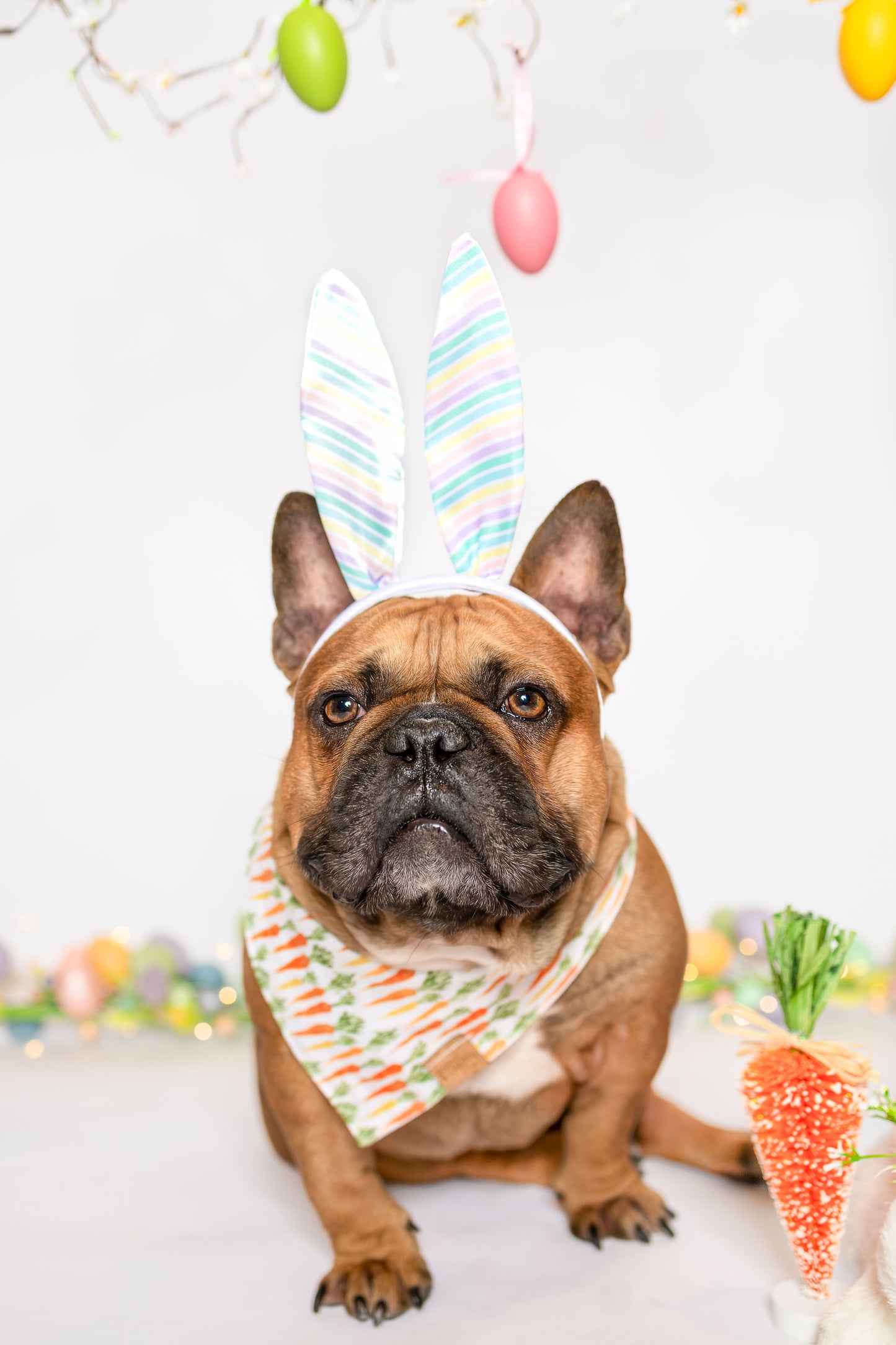 Bunch of Carrots Snap-On Pet Bandana