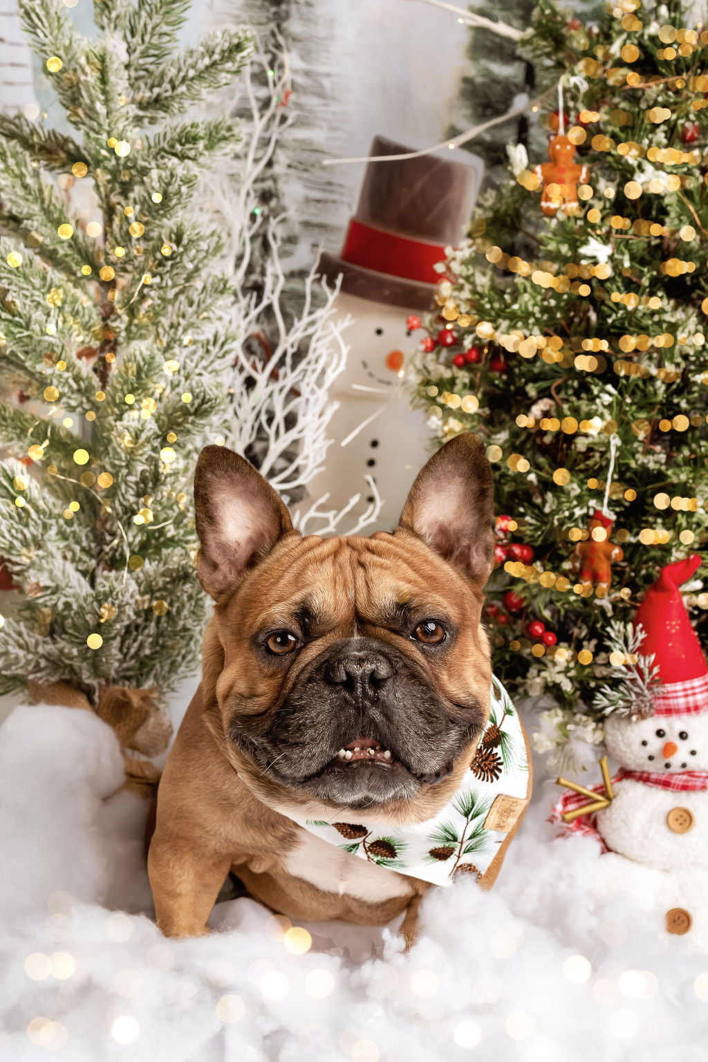 Frosty Pinecones Snap-On Pet Bandana