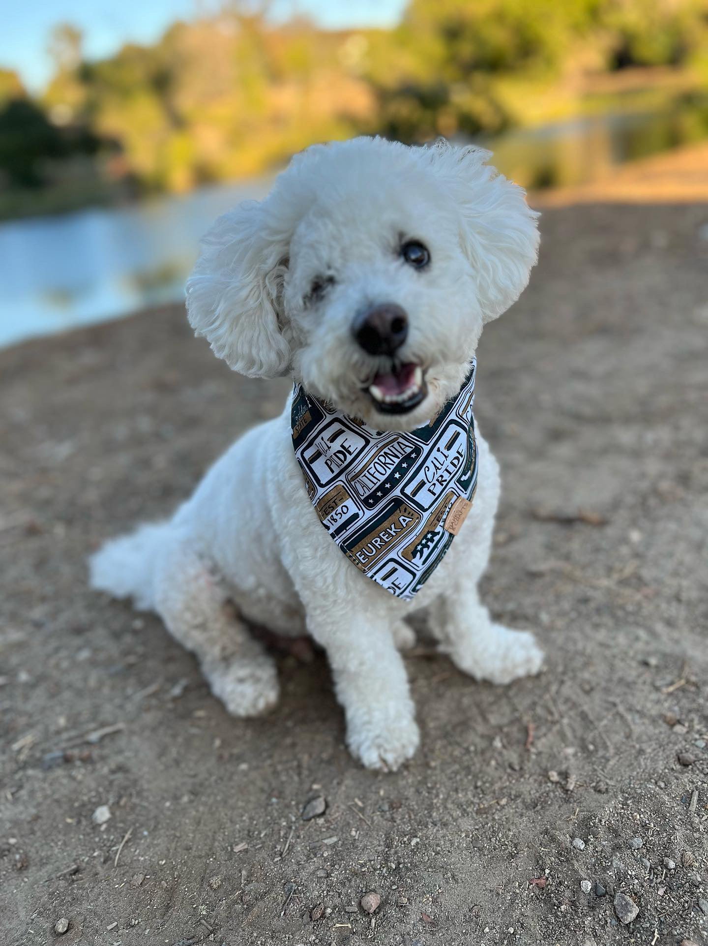 Snap on best sale dog bandana