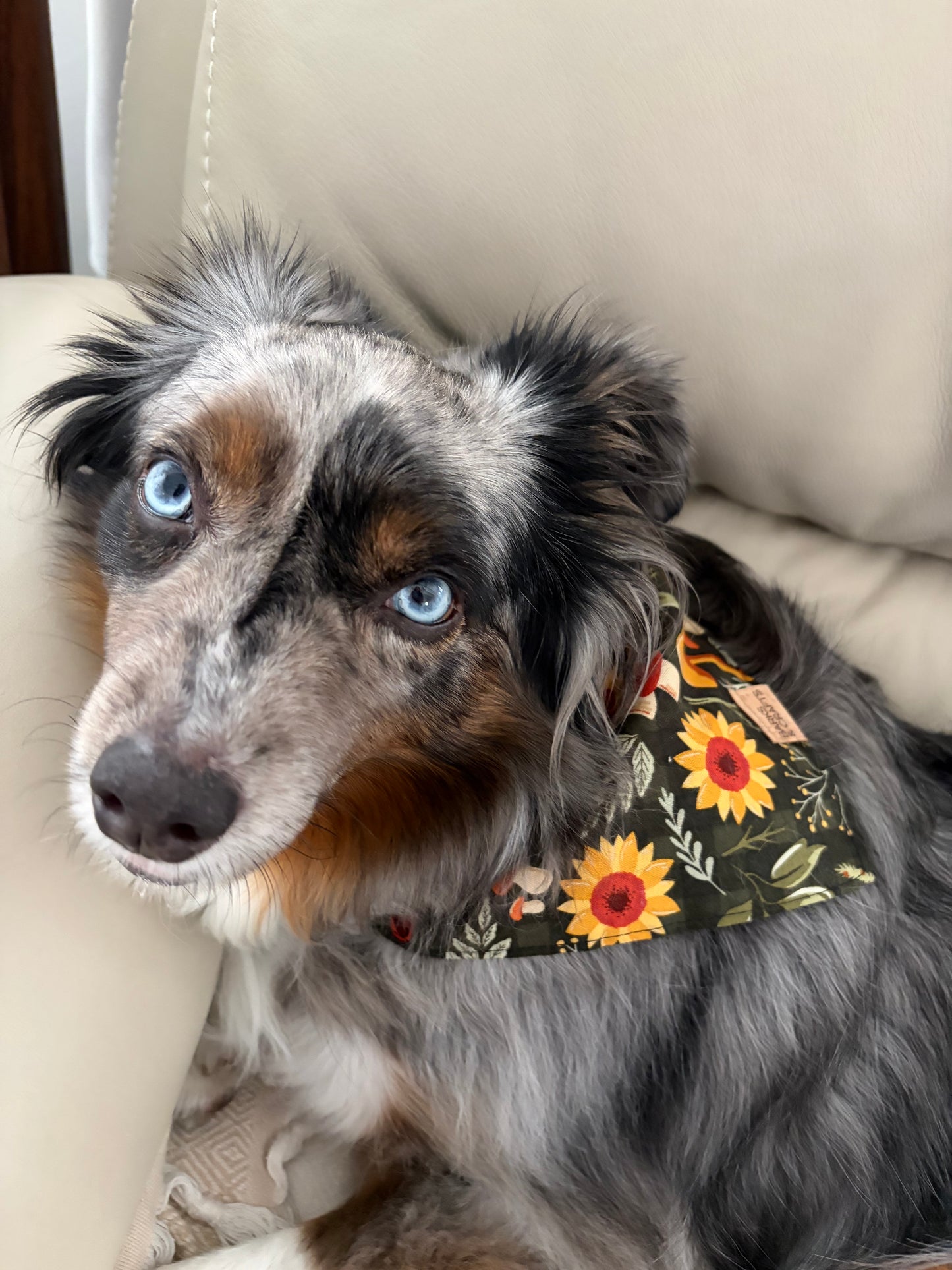 Mushroom & Blooms Snap-On Pet Bandana