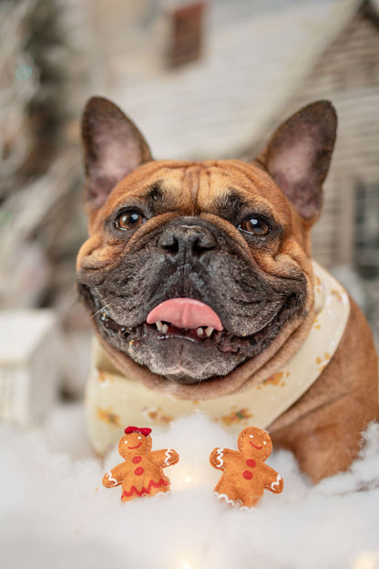 Gingerbread Cookies Snap-On Pet Bandana