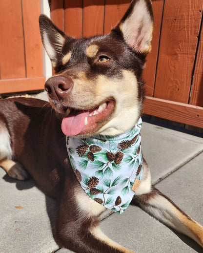 Frosty Pinecones Snap-On Pet Bandana