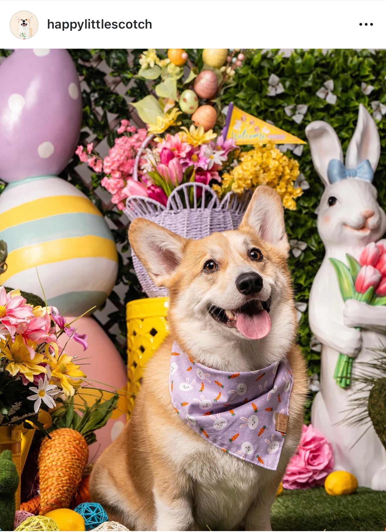 Sweet Bunnies Snap-On Pet Bandana