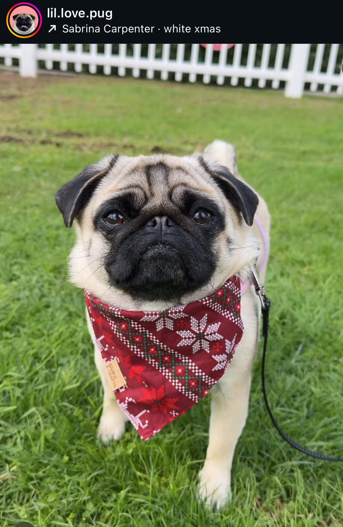 Reindeer Knit Snap-On Pet Bandana