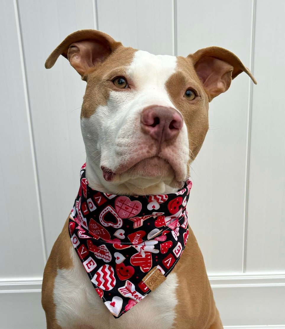 Love Notes Snap-On Pet Bandana