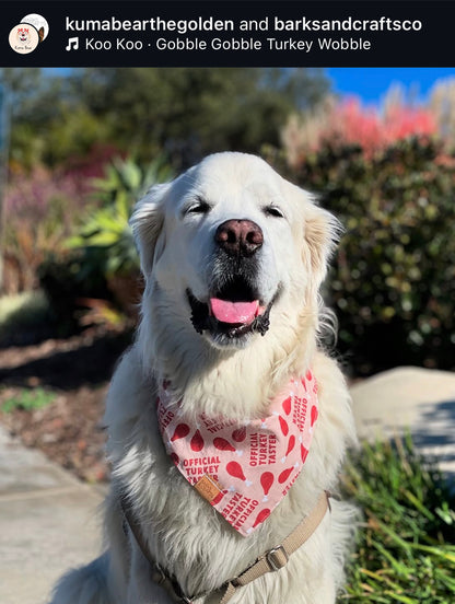 Official Turkey Taster Snap-On Pet Bandana