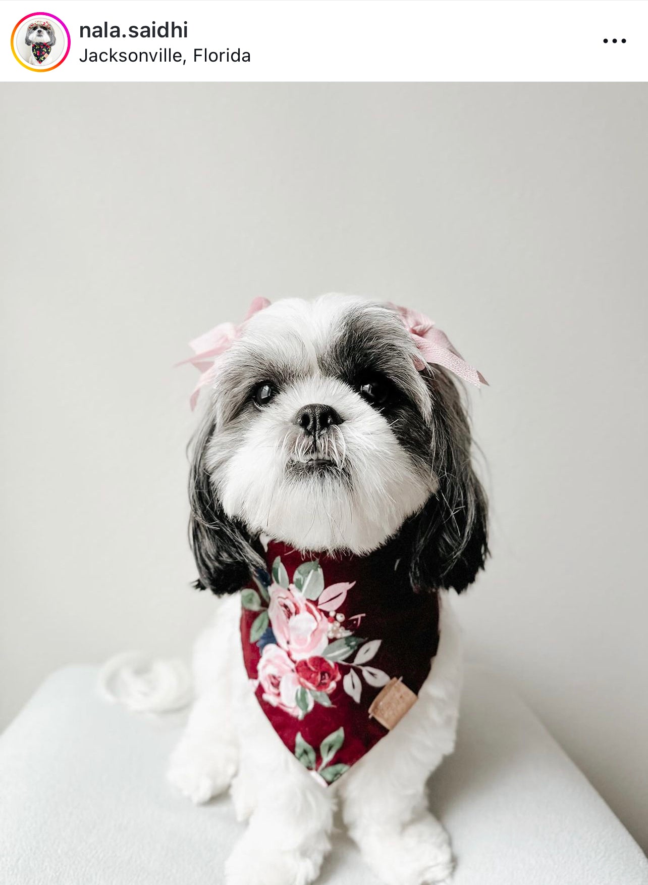 Burgundy Bouquet Snap-On Pet Bandana