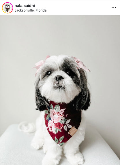 Burgundy Bouquet Snap-On Pet Bandana