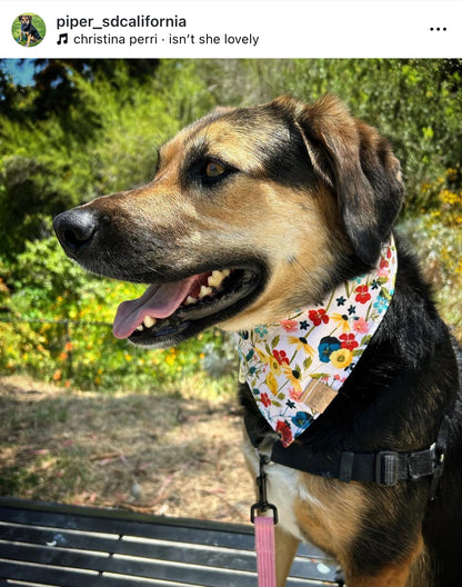 Wildflower Snap-On Pet Bandana