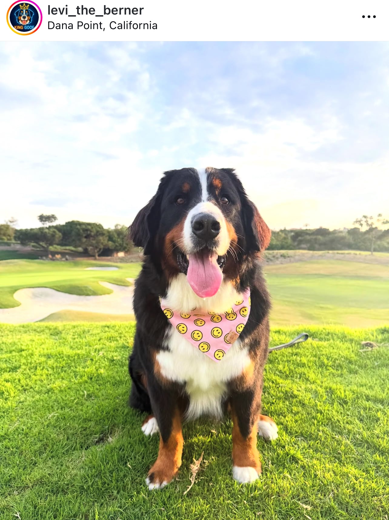 Smiley Snap-On Pet Bandana