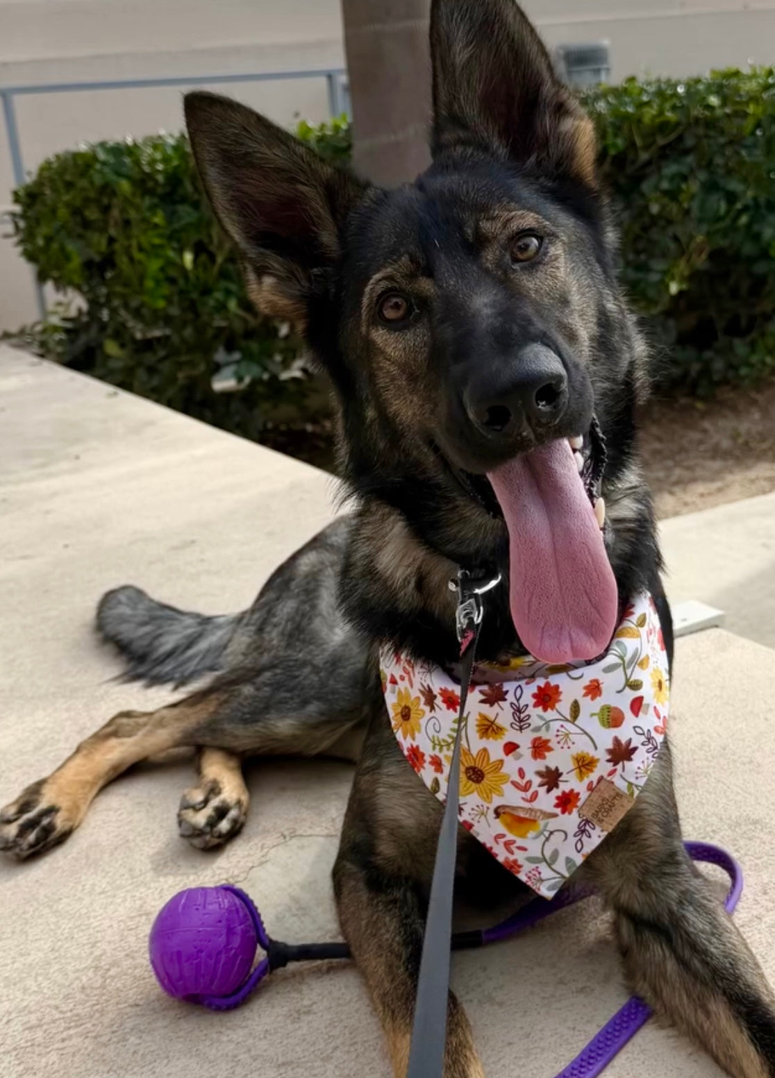 Forest Friends Snap-On Pet Bandana
