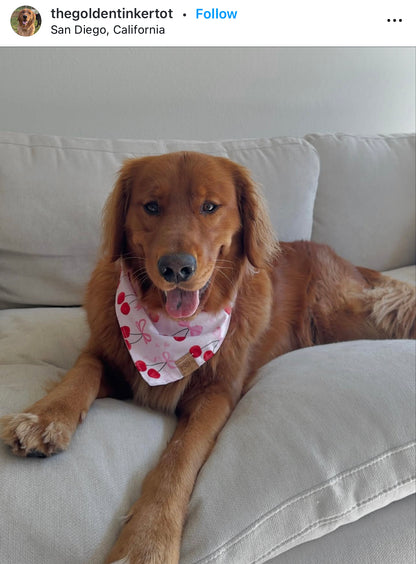 Cherry Charm Snap-On Pet Bandana