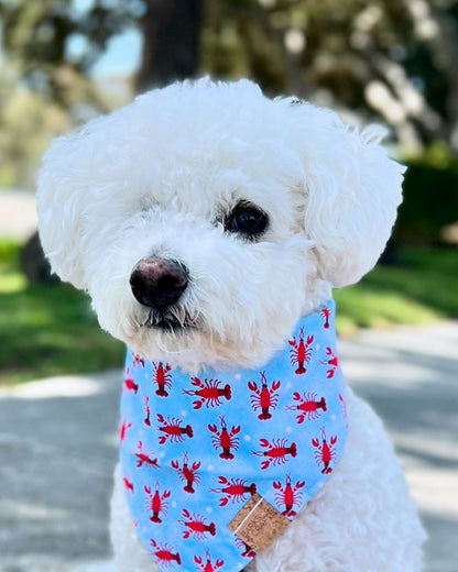 Lobster Snap-On Pet Bandana