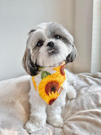 Sunflowers Snap-On Pet Bandana