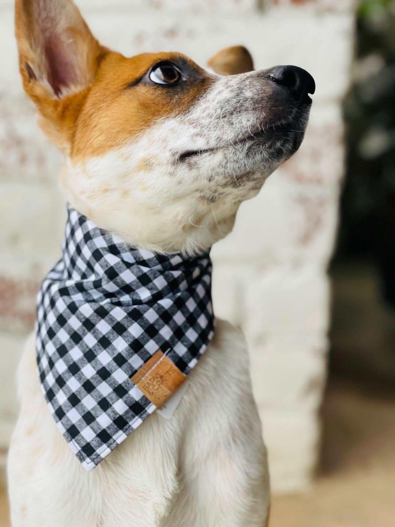 Gingham shop dog bandana