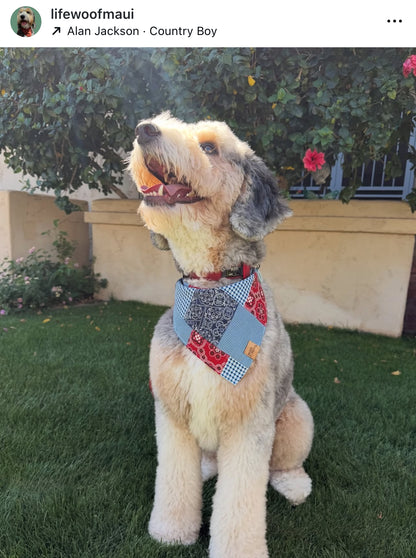 Mixed Paisley Snap-On Pet Bandana