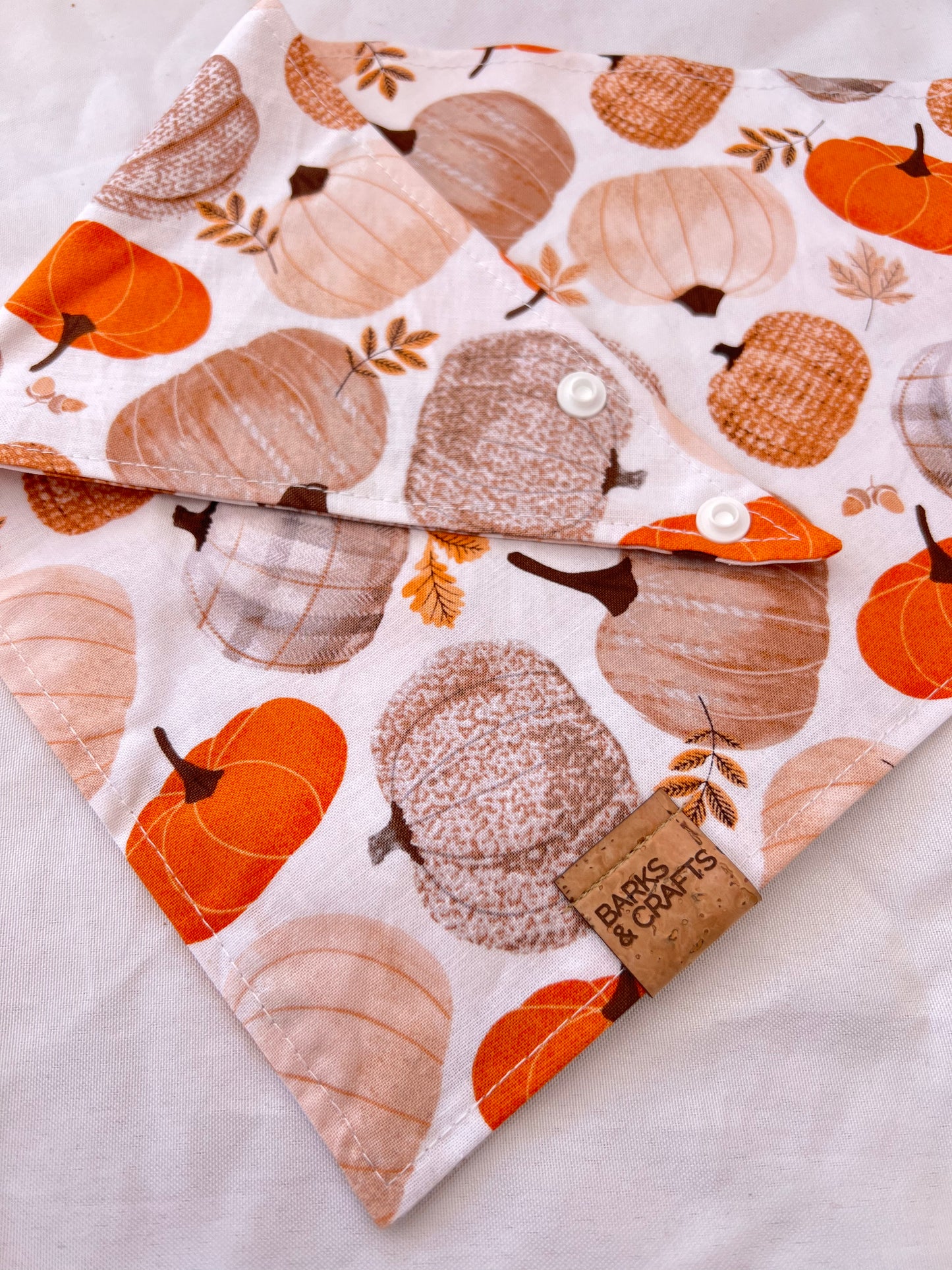 Pumpkin Patch Pet Bandana