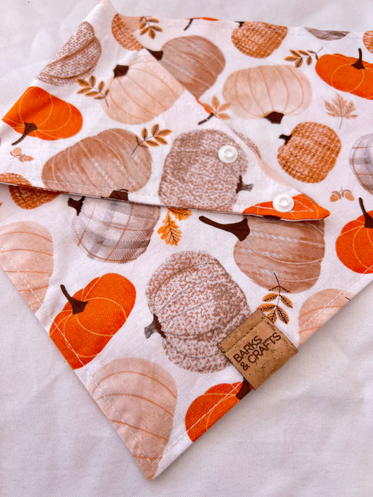 Pumpkin Patch Pet Bandana