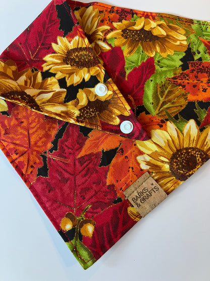 Autumn Harvest Snap-On Pet Bandana