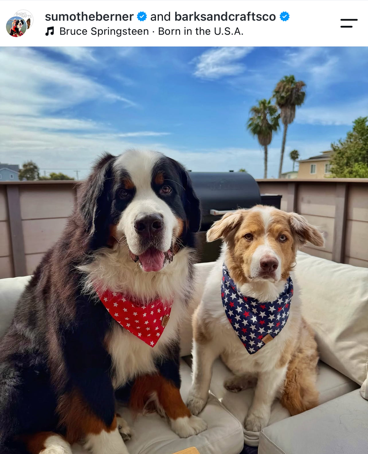 Star Spangeled (Red) Snap-On Pet Bandana