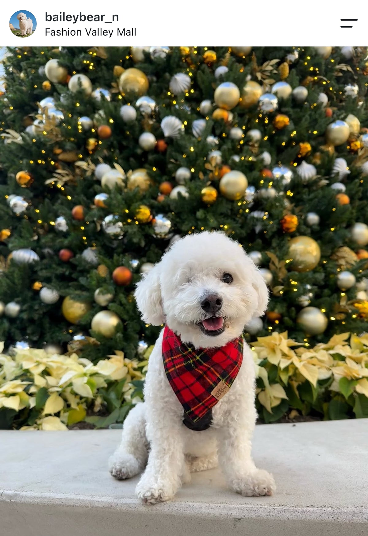 Tartan Plaid Snap-On Pet Bandana
