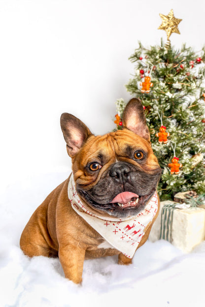 Bandana Merry Xmas Con Campanello. Abbigliamento Per Cani