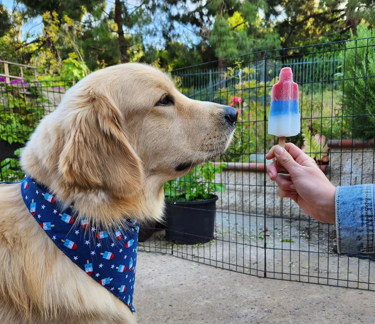 Red white and blue shop dog bandana