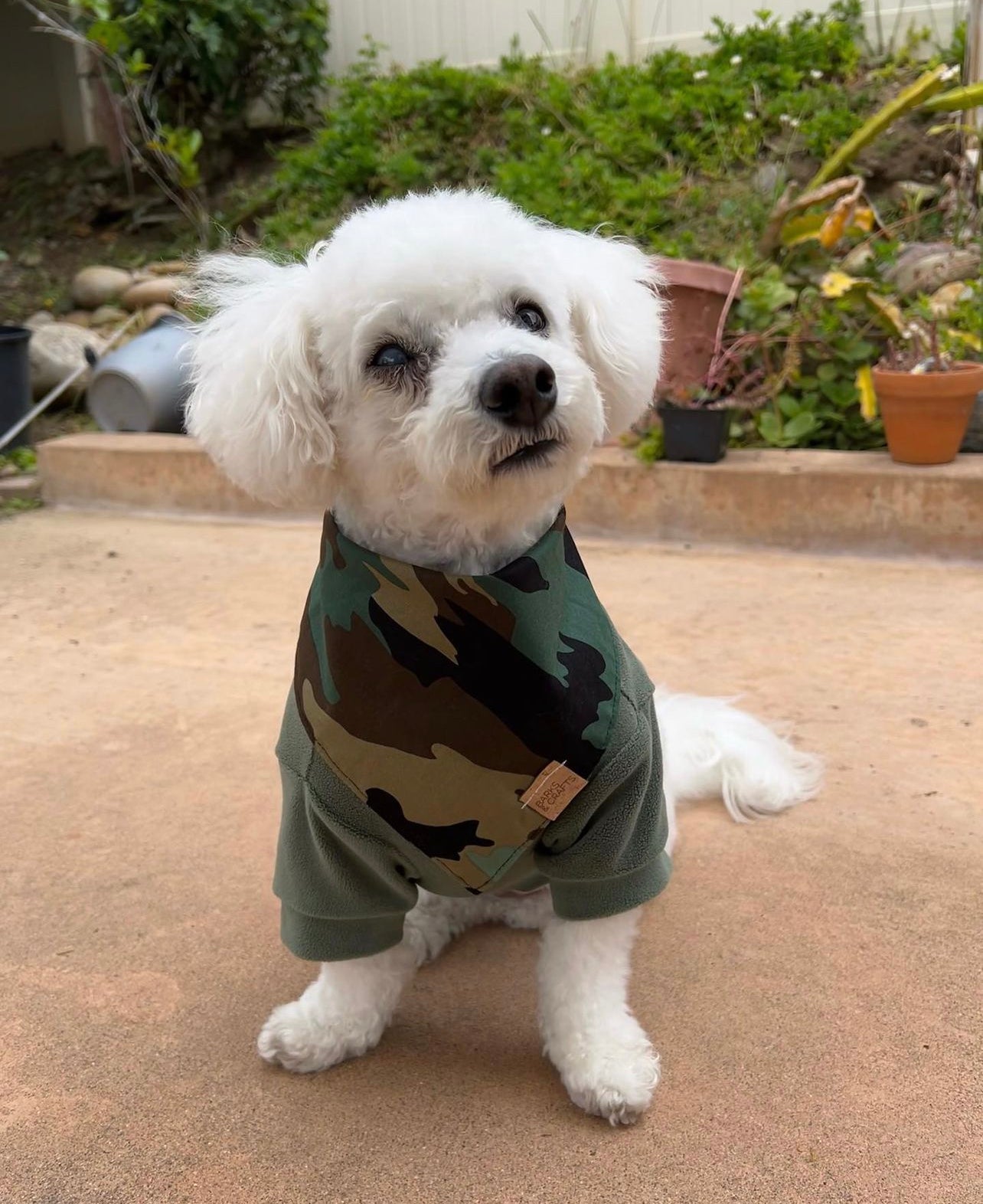 Camouflage shop dog bandana