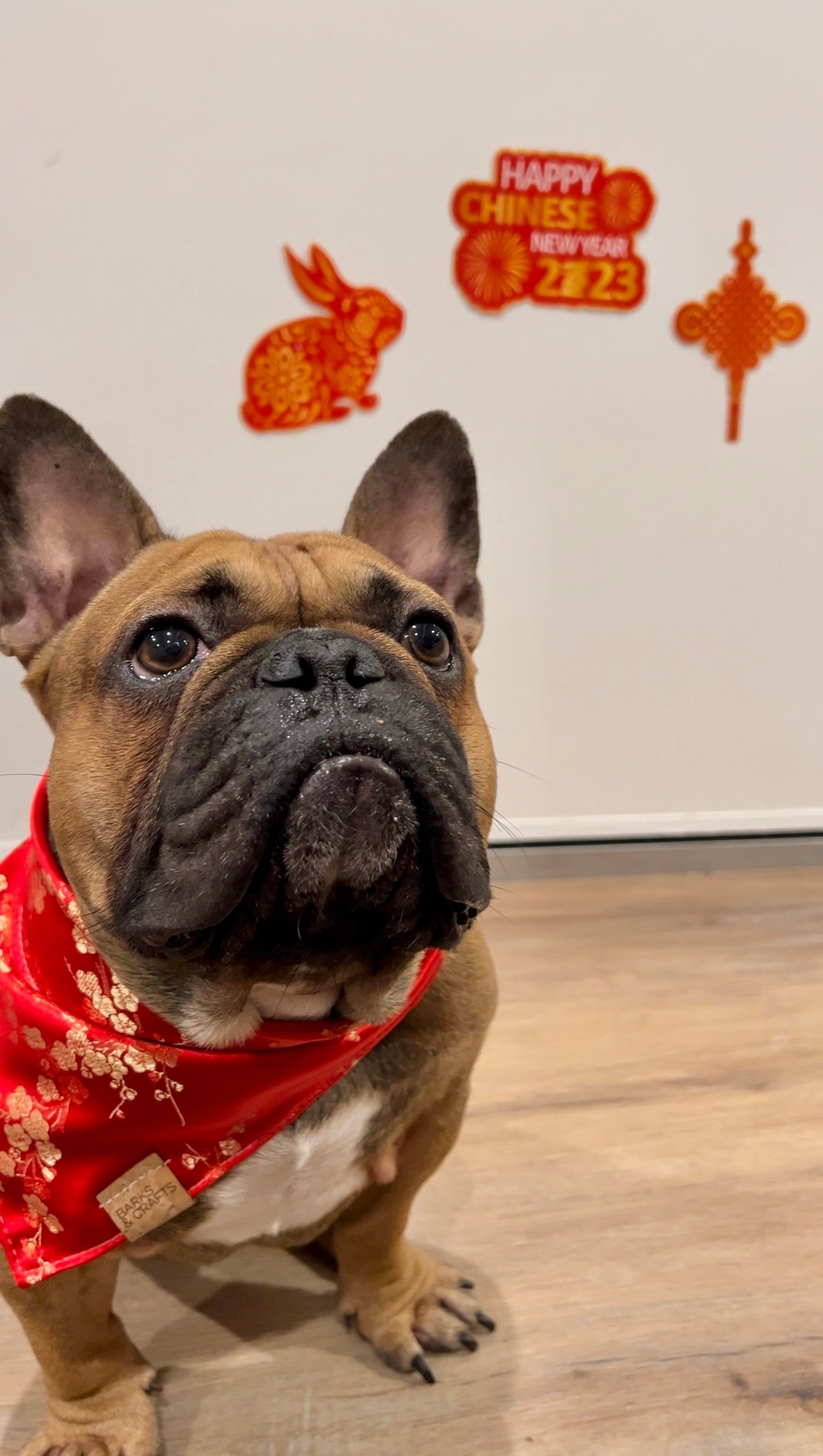 New years hot sale dog bandana