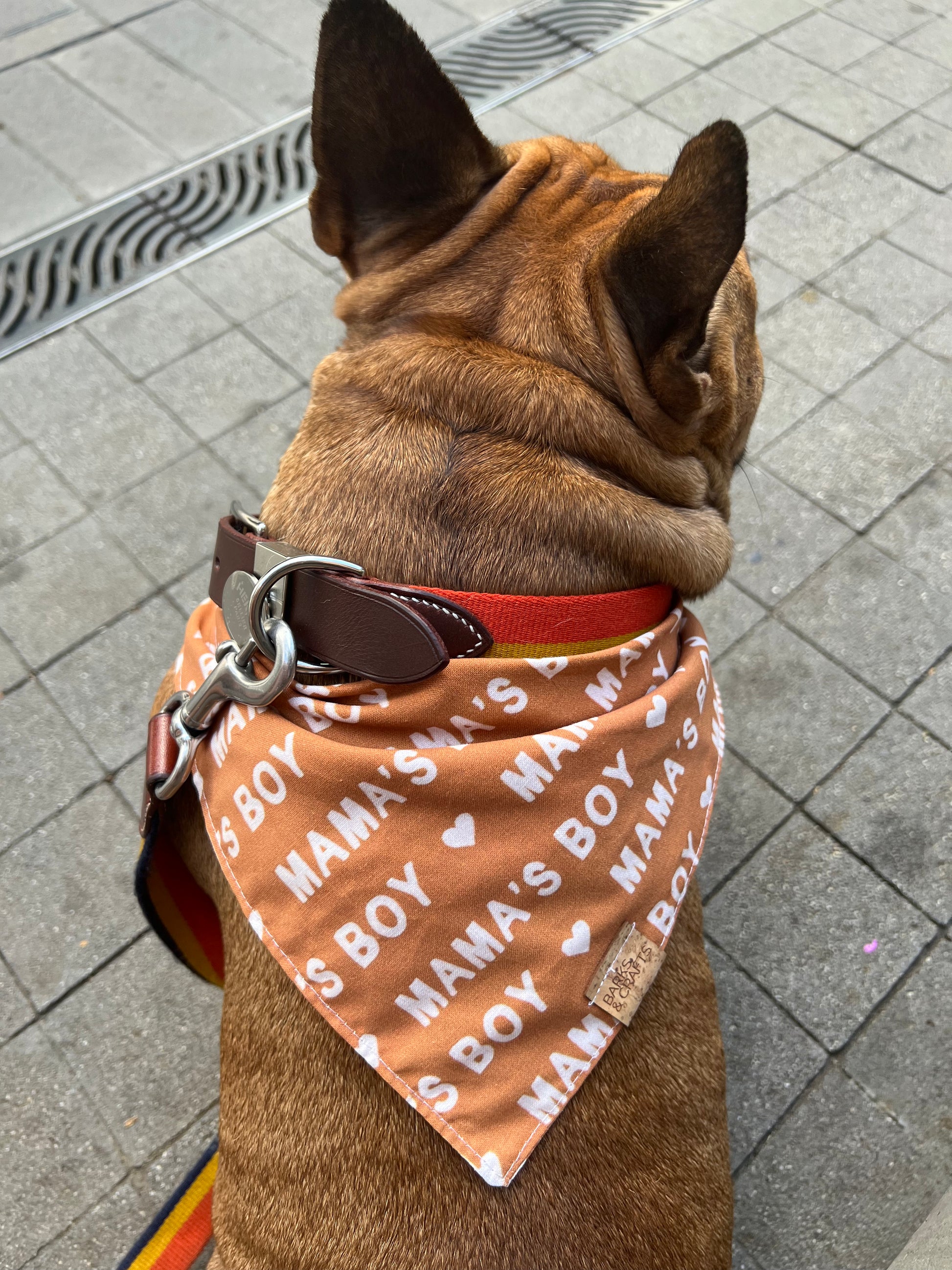 Its a 2024 boy dog bandana