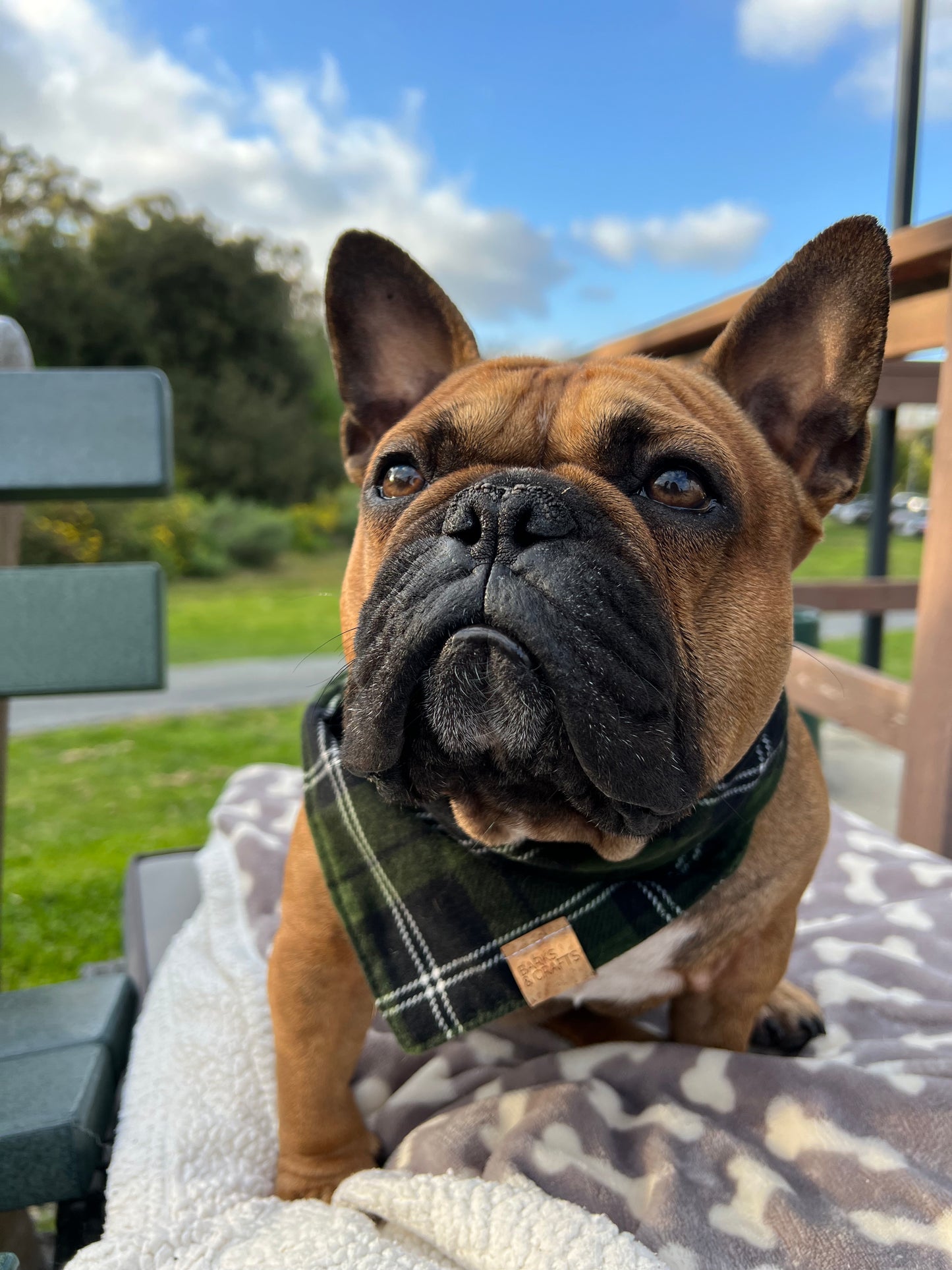 Evergreen Plaid Pet Bandana