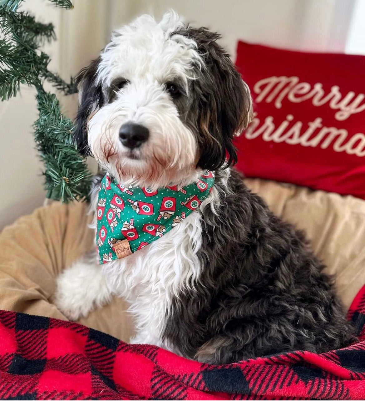 Holiday Pup Cup Pet Bandana